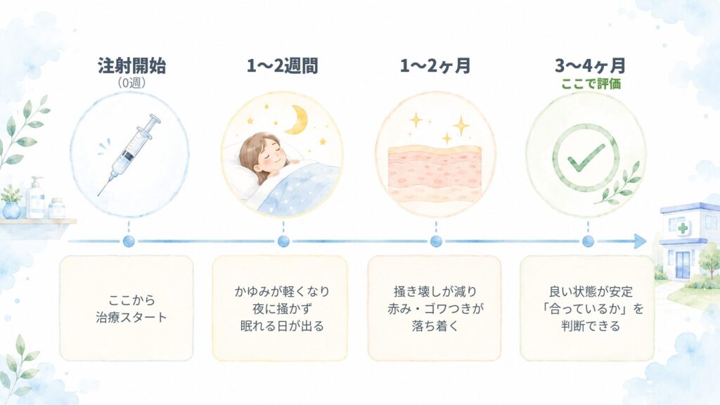 アトピー注射薬を始めてからの効果の出かたを示したタイムライン図。注射開始から1〜2週間でかゆみが軽くなり、1〜2ヶ月で赤みやゴワつきが落ち着き、3〜4ヶ月で効果を判定する流れ。