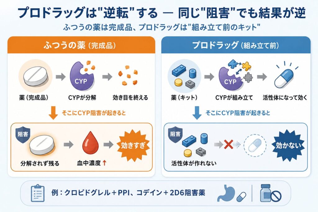 プロドラッグはCYP阻害で活性体が作れず効かなくなる、通常薬とは逆になることを示した比較図