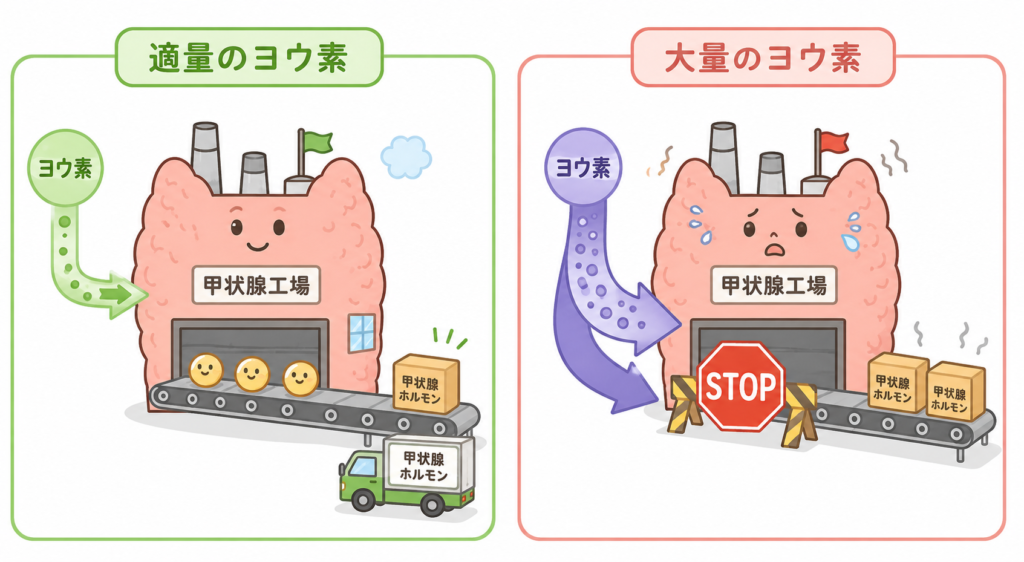 適量のヨウ素では甲状腺ホルモンがスムーズに製造・出荷されるが、大量のヨウ素では製造ラインが停止する様子を工場に例えたイラスト。ヨウ化カリウム丸によるWolff-Chaikoff効果の説明図。