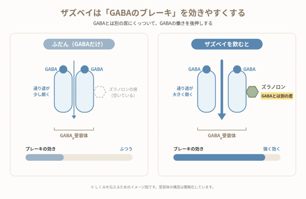 ズラノロンはGABAA受容体のGABAとは別の部位に結合し、GABAの作用を強める