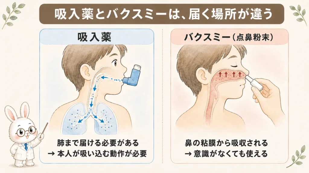 吸入薬とバクスミー点鼻粉末剤の違い｜鼻粘膜から吸収されるため吸い込む動作が不要