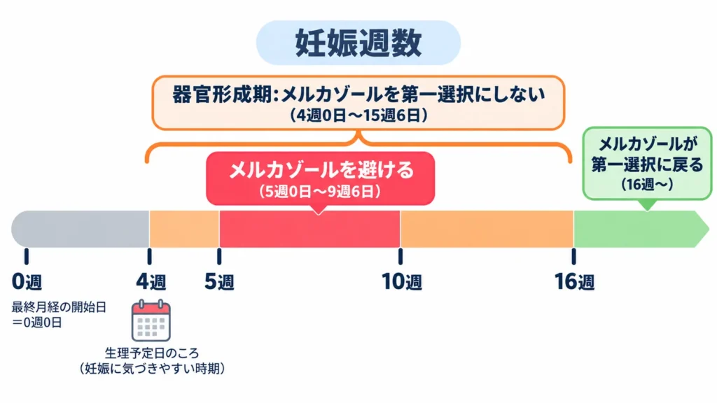 妊娠週数のタイムラインで、メルカゾールを避ける時期(妊娠5週0日〜9週6日)、第一選択にしない器官形成期(4週0日〜15週6日)、第一選択に戻る時期(16週以降)を色分けして示した図。